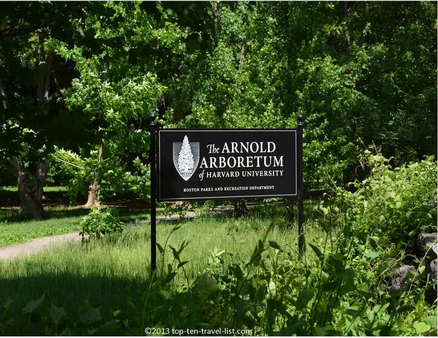 The Arnold Arboretum in Boston