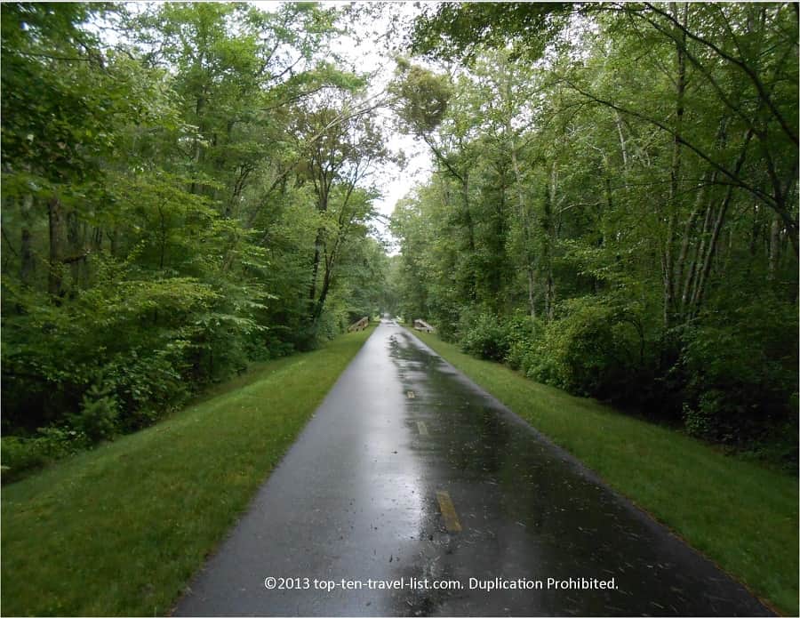 Beautiful greenery on Fairhaven bike trail