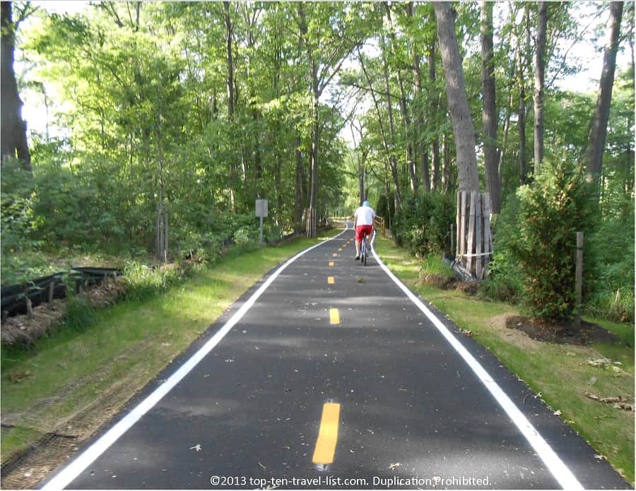 Forest scenery along the Ten Mile Greenway in Pawtucket