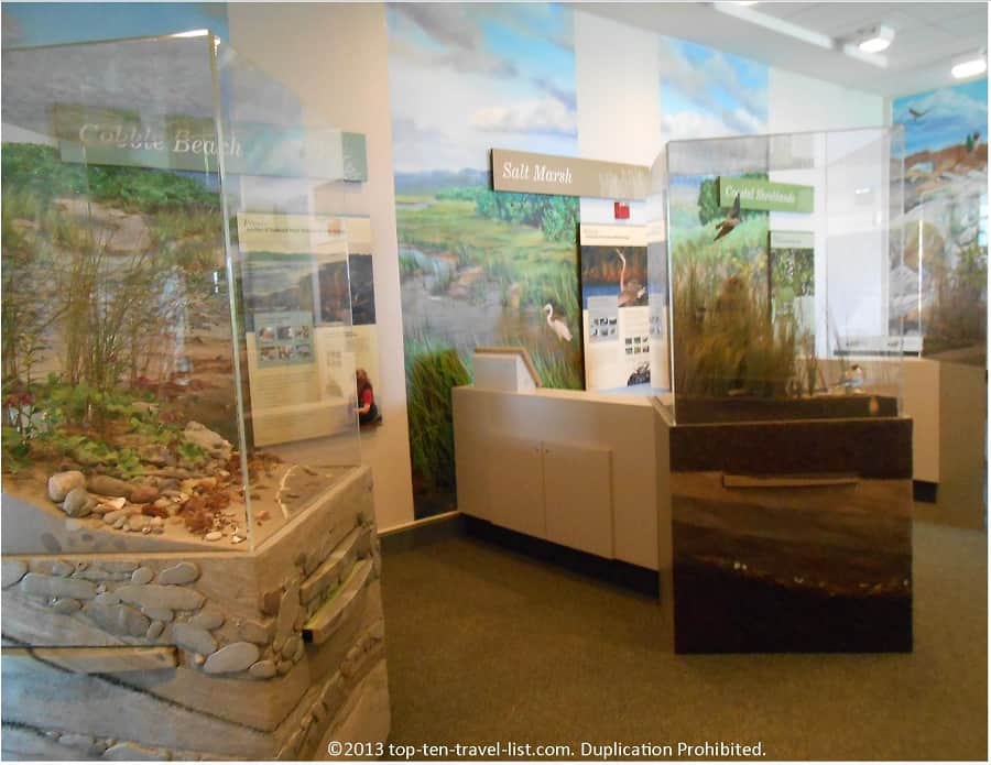 Nature Exhibit 