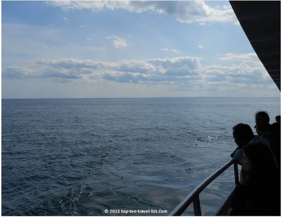 Whale watching tour in Plymouth