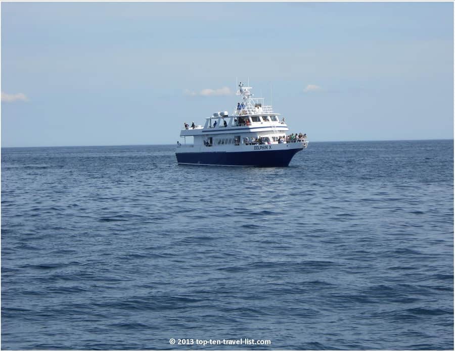 Whale watching in Plymouth