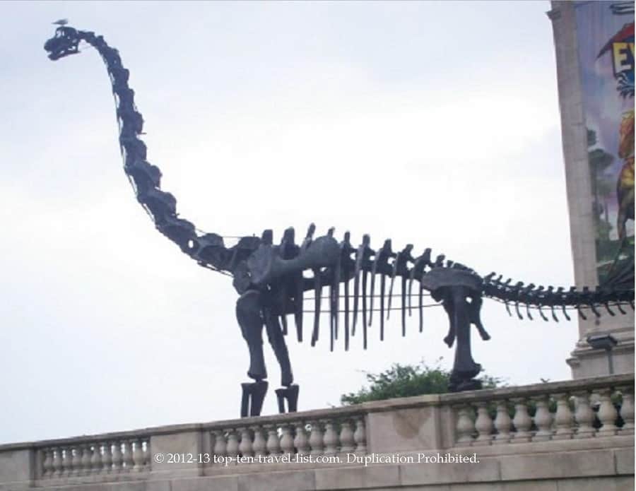 The Field Museum Chicago