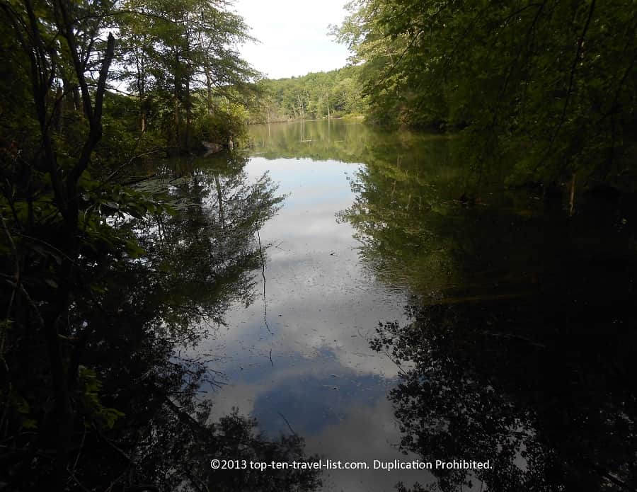 Olney Pond at Lincoln Woods State Park 