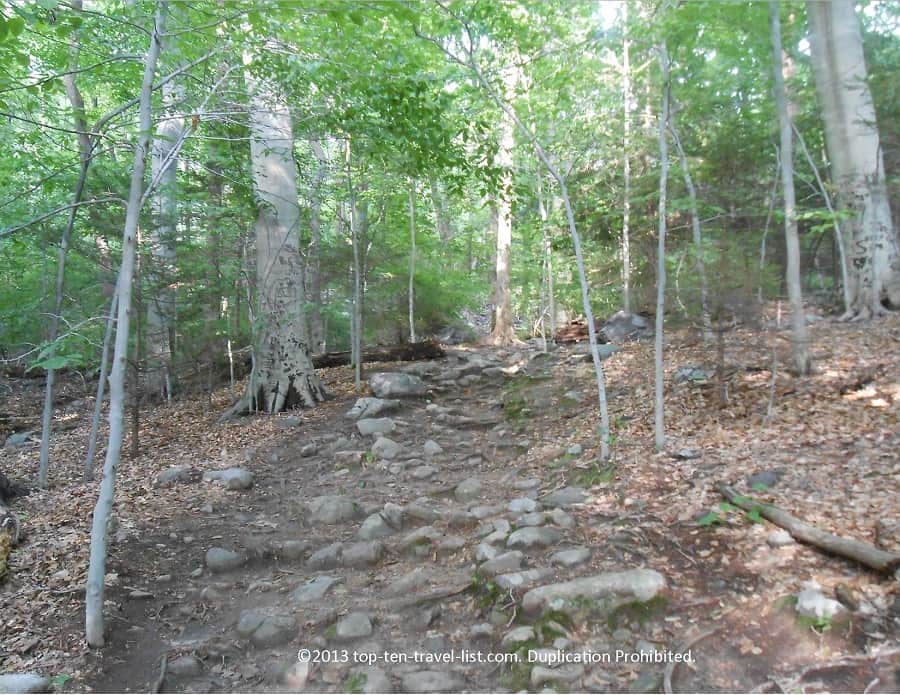 Hiking trails at Blue HIlls Reservation