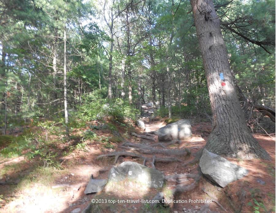 Trail marker at Blue Hills Reservation 