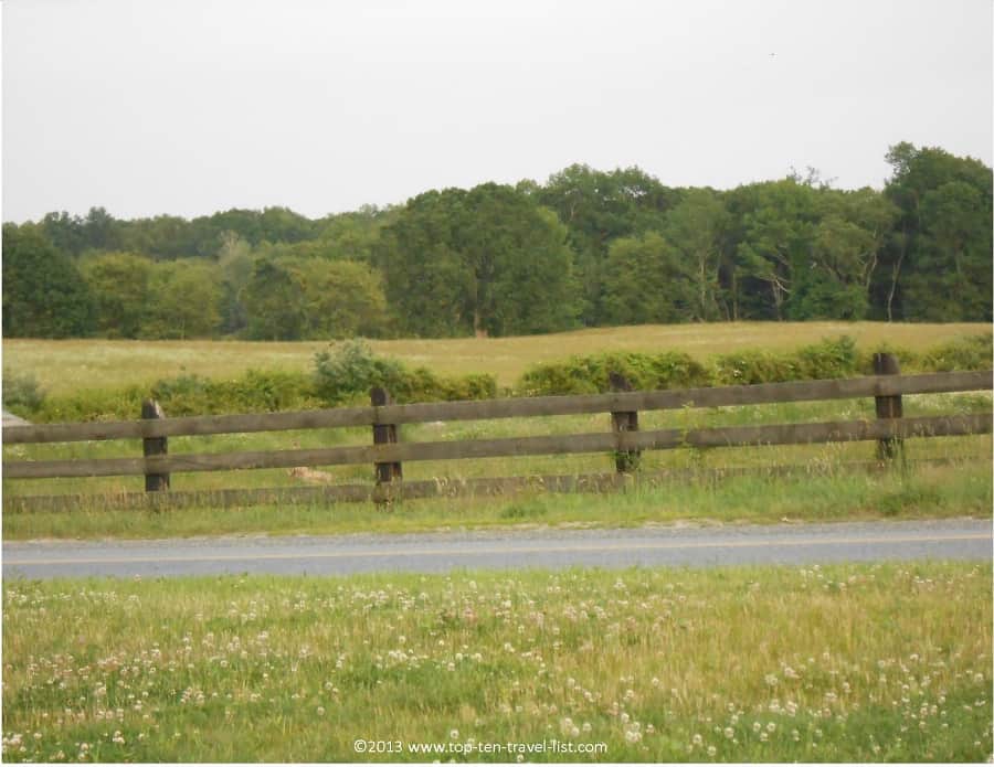 Farm views in Swansea, Massachusetts