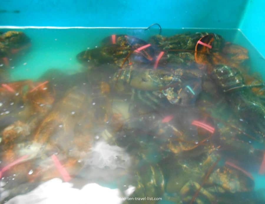 Fresh local seafood at Aquidneck Lobster Company - Newport, Rhode Island