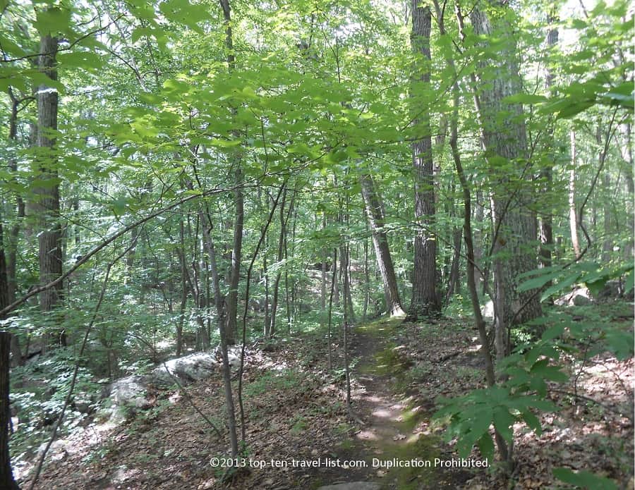 Hiking views at Lincoln Woods State Park 