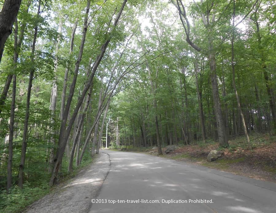 Walking loop at Lincoln Woods State Park 
