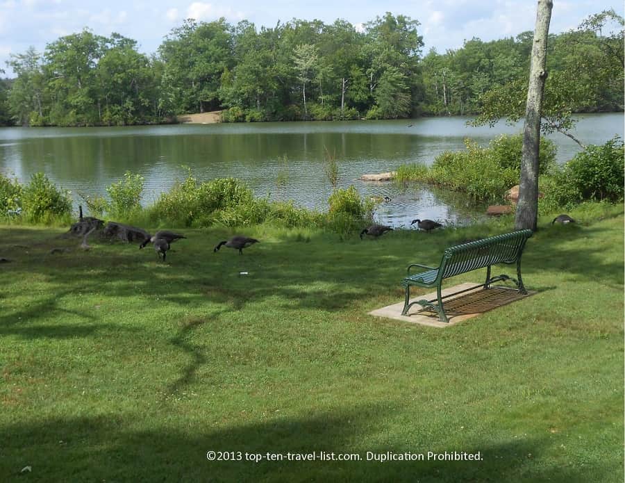 Scenic views at Lincoln Woods State Park 