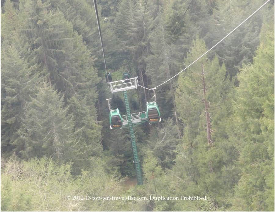 Trees of Mystery SkyTrail ride 