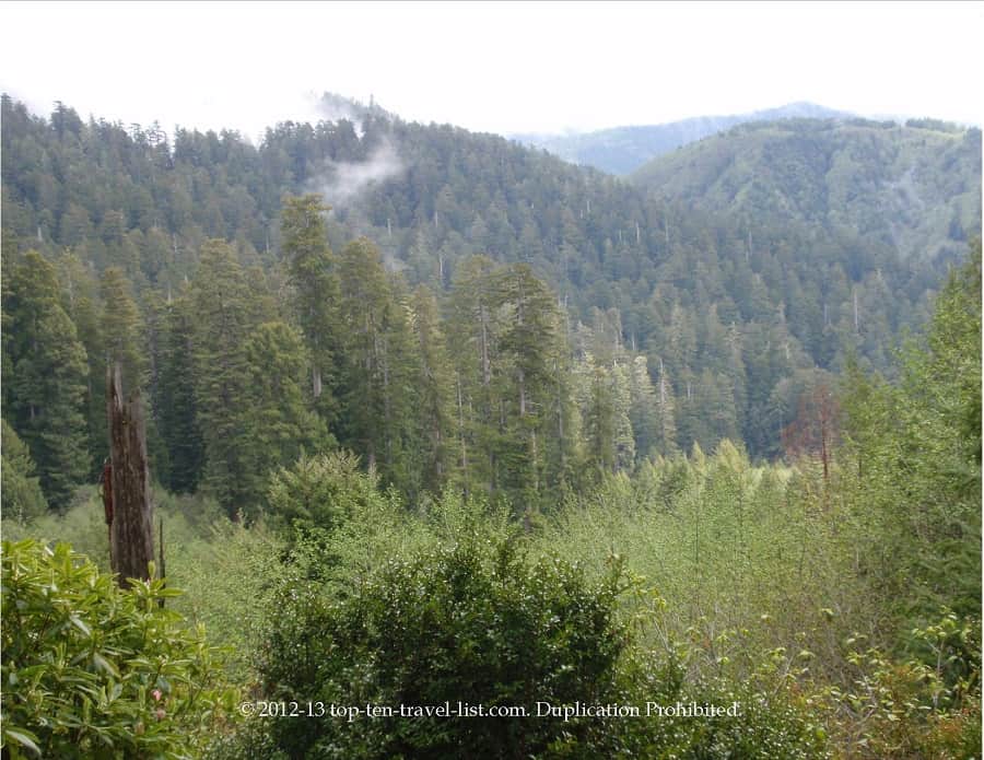 Scenic overlook at the Trees of Mystery 