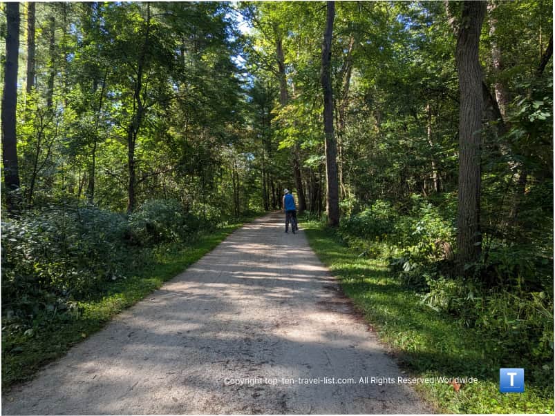 Views of the woods from the Towpath trail in Ohio