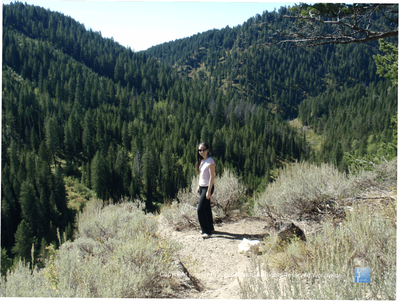 Scenic overlook of the Grand Tetons on Mesa Scenic Byway