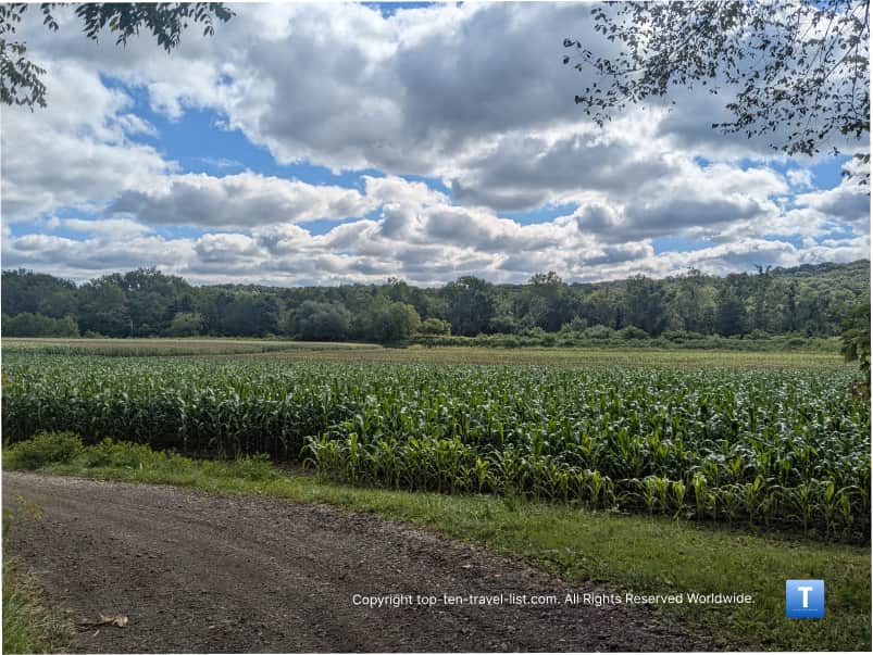 Nature views along the Towpath Trail in Ohio