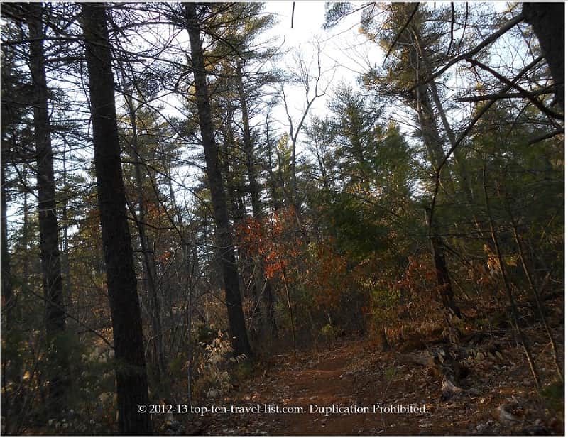 Copicut Woods hiking