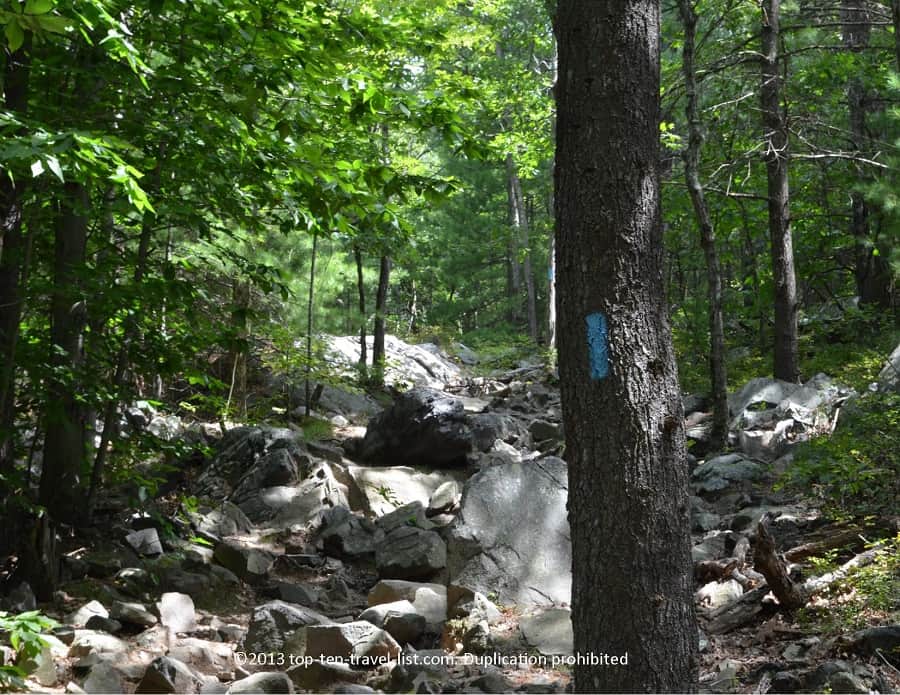 Skyline Trail at Blue Hills Reservation 