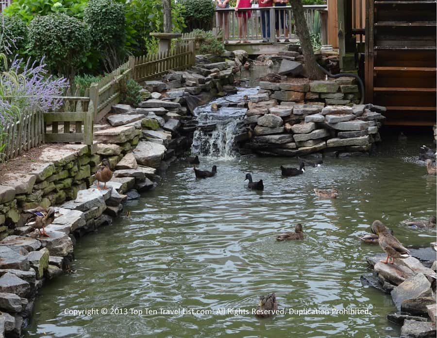 Pond with ducks at Olde Mistick Village 