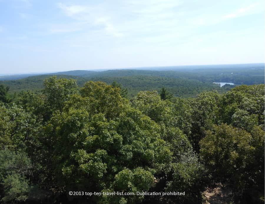 Forest views from Blue Hills Observatory in Massachsuetts
