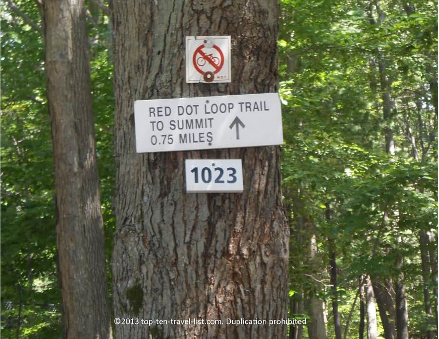 Red Loop Trail at Blue Hills Reservation 