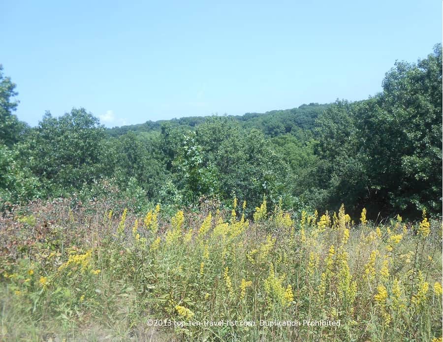 Overlook on the heather Valley trail at Castle Rock state park