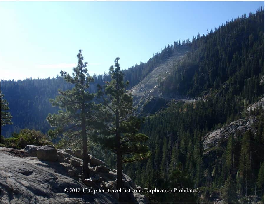Gorgeous pine scenery at Emerald Bay State Park