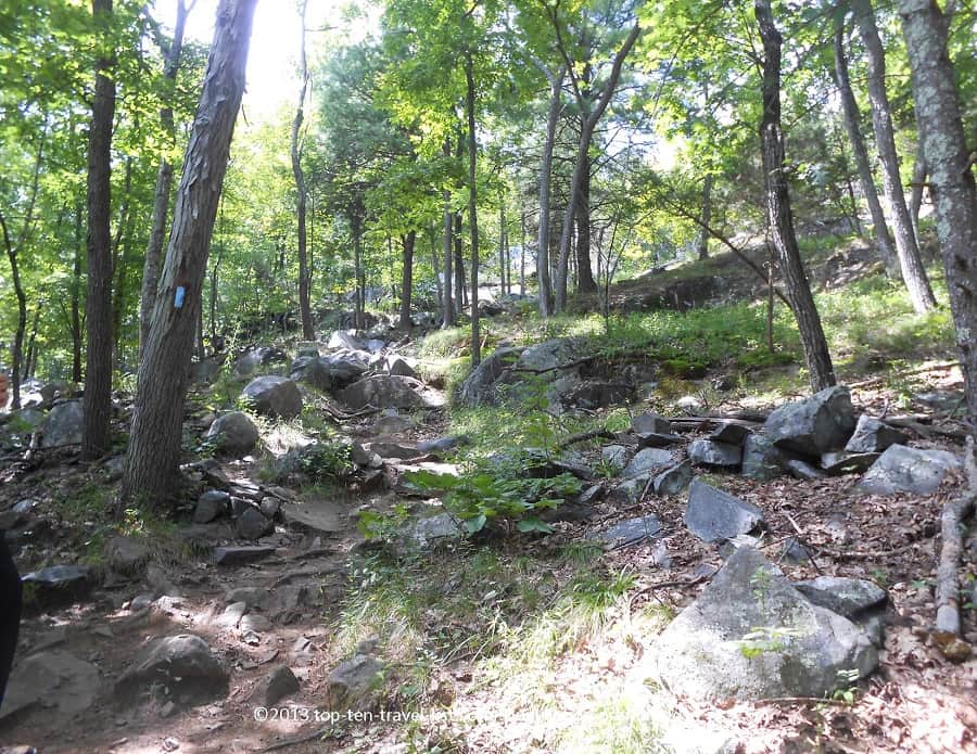Woodsy scenery along the Skyline Trail at Blue Hills Reservation