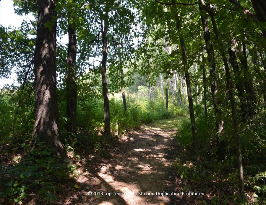 Wooded views along the Heather Valley trail at Castle Rock State Park
