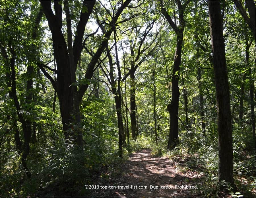 Wooded trail at Castle Rock State Park