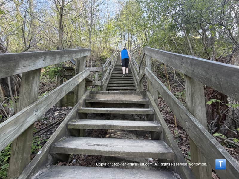Staircase on the Wildcat Canyon hike at Starved Rock