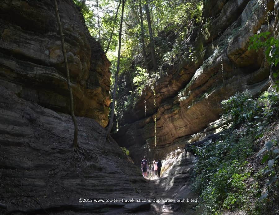 Walking through a canyon at Starved Rock State park 