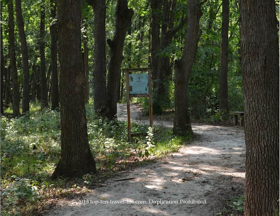Tree-lined path views at Little Red Schoolhouse in Palos Heights, Illinois