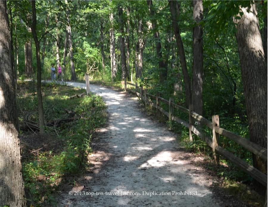 Peaceful wooded scenery at Little Red Schoolhouse
