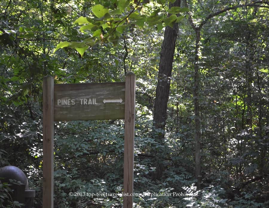 Pines Trail at Lowden State Park 