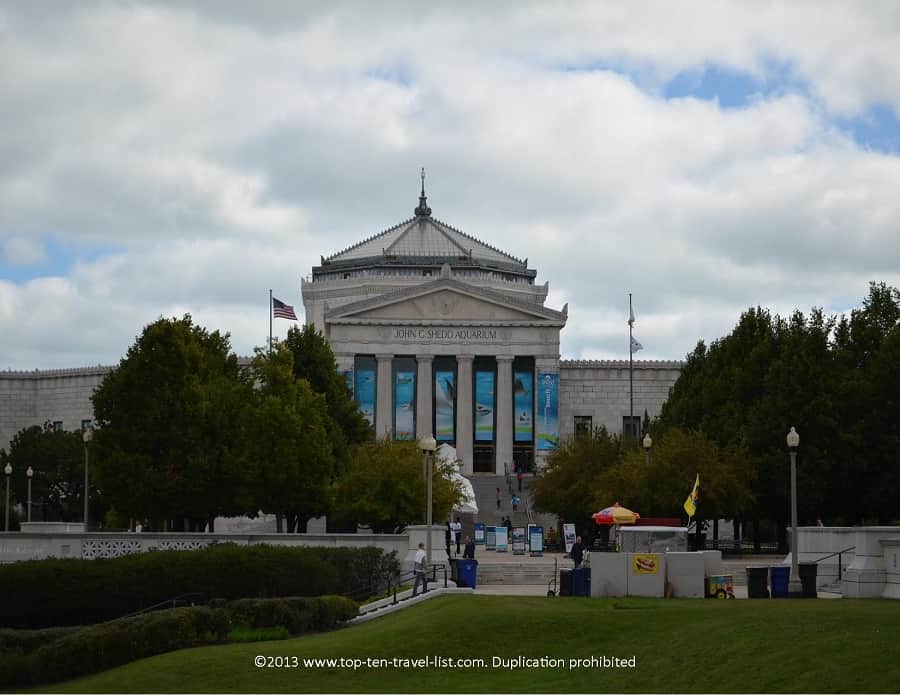 Shedd Aquarium in Chicago, IL