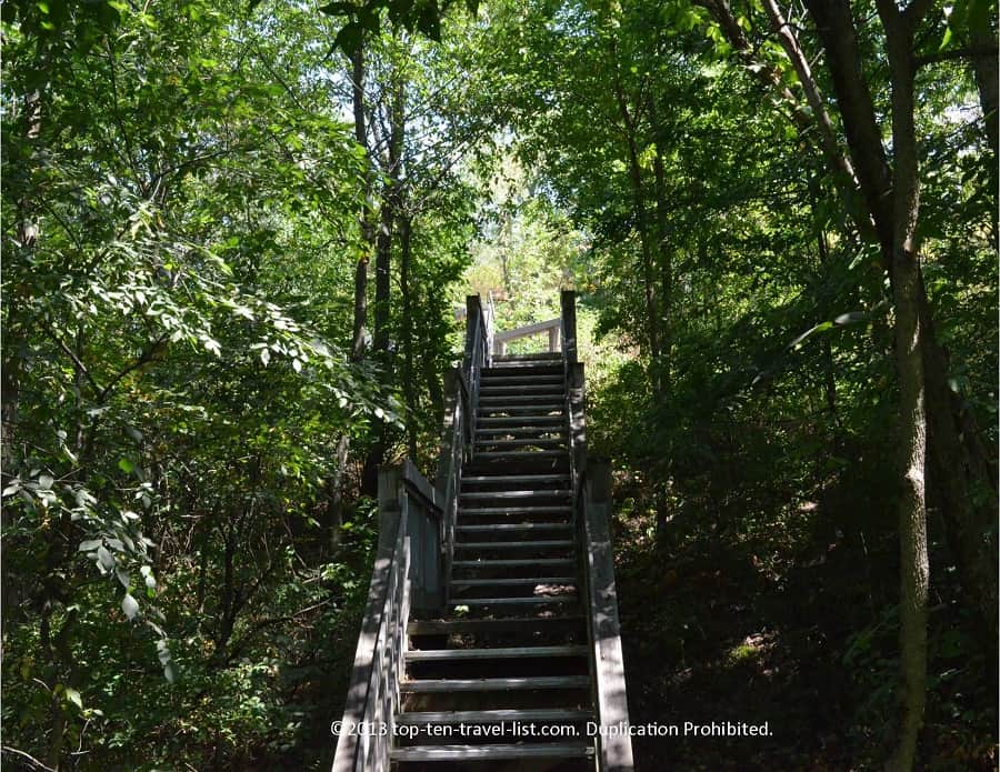 shady staircase at Castle Rock State Park