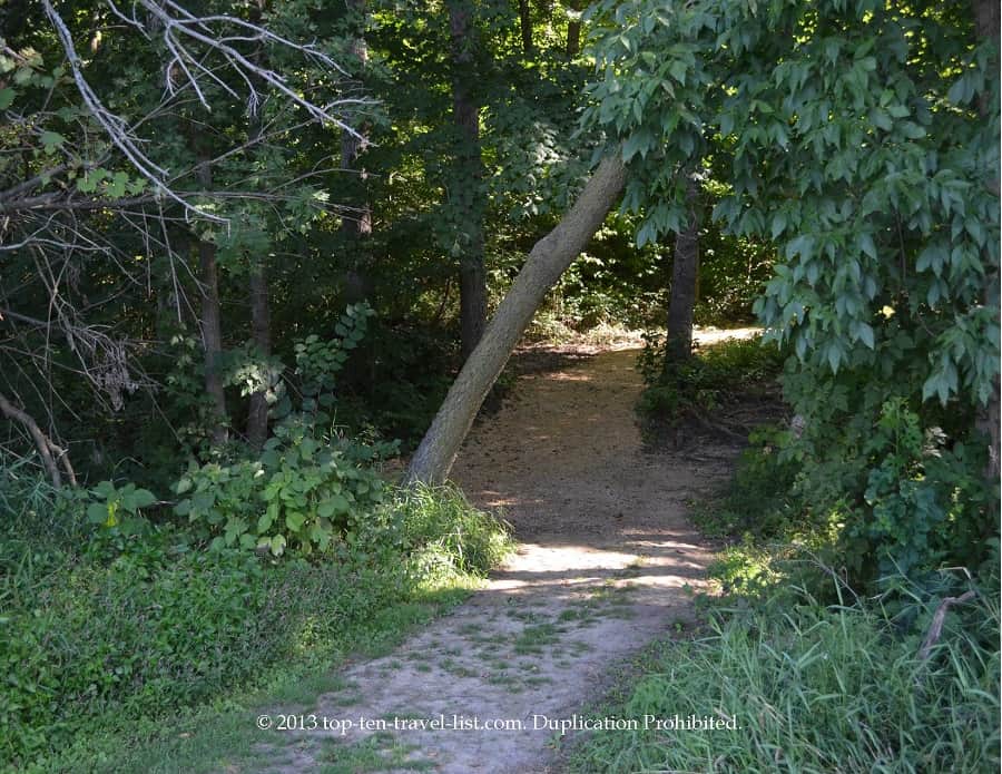 Trail view at Lowden State Park 
