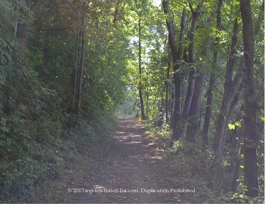 Wooded trail at Lowden State Park 