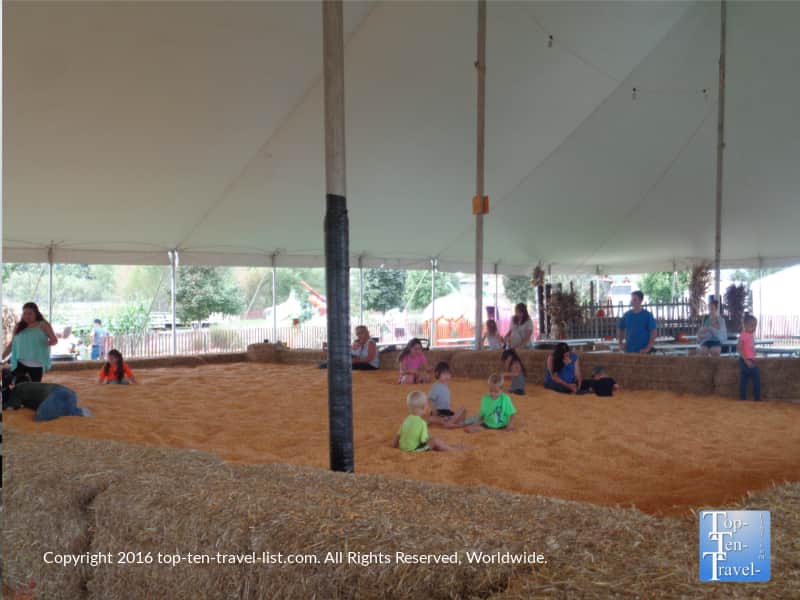 Corn kernel play area at Bengston's Pumpkin Farm in Illinois