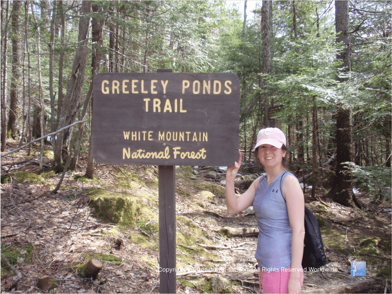 Greeley Ponds trail in the White Mountains 