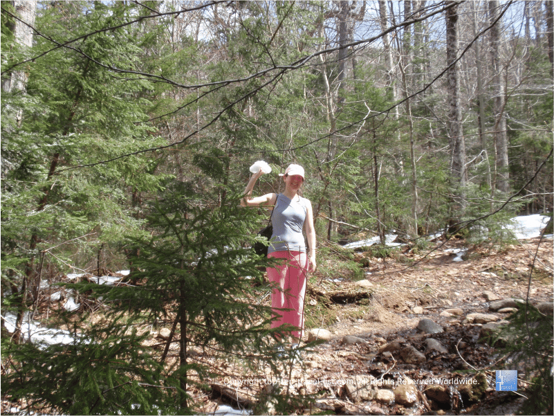 Snow on the Greeley Ponds trail in the White Mountains of New Hampshire 