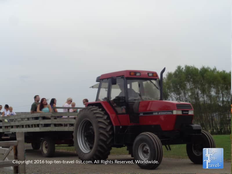 Tractor pulled hayride