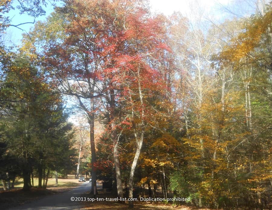 Pretty red foliage at Devil's Hopyard