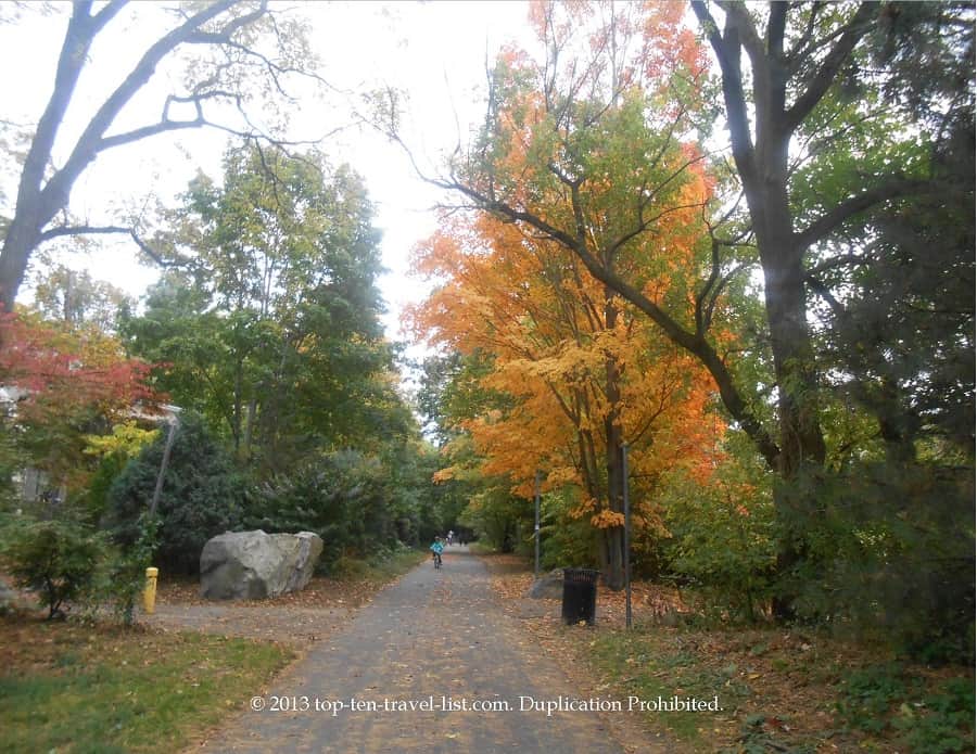 Orange foliage along the Minuteman bike trail