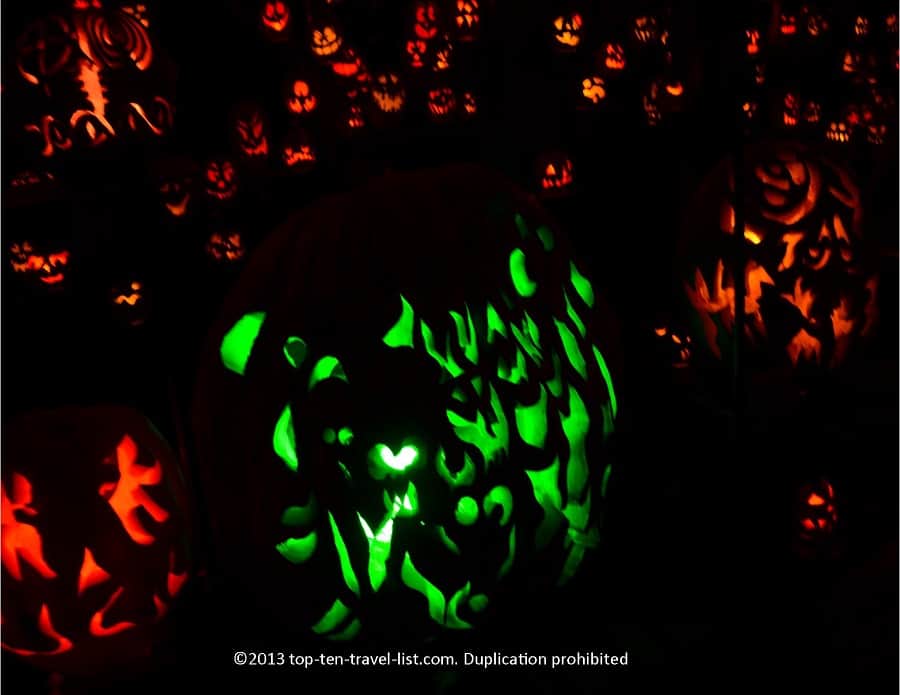 Unique Jack O'lanterns at Roger Williams Park Zoo
