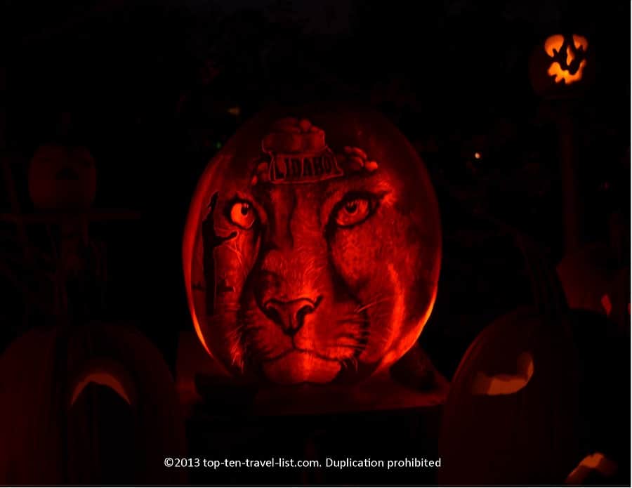 Mountain lion Jack o'Lantern