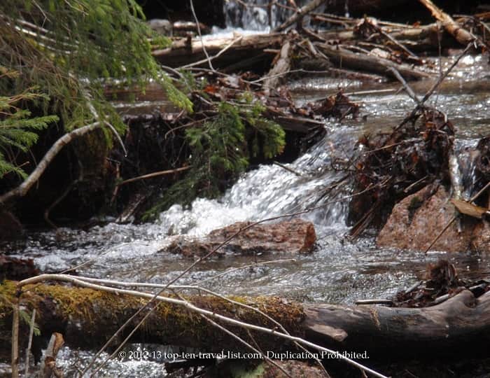 Pretty stream in the White Mountains National Forest 
