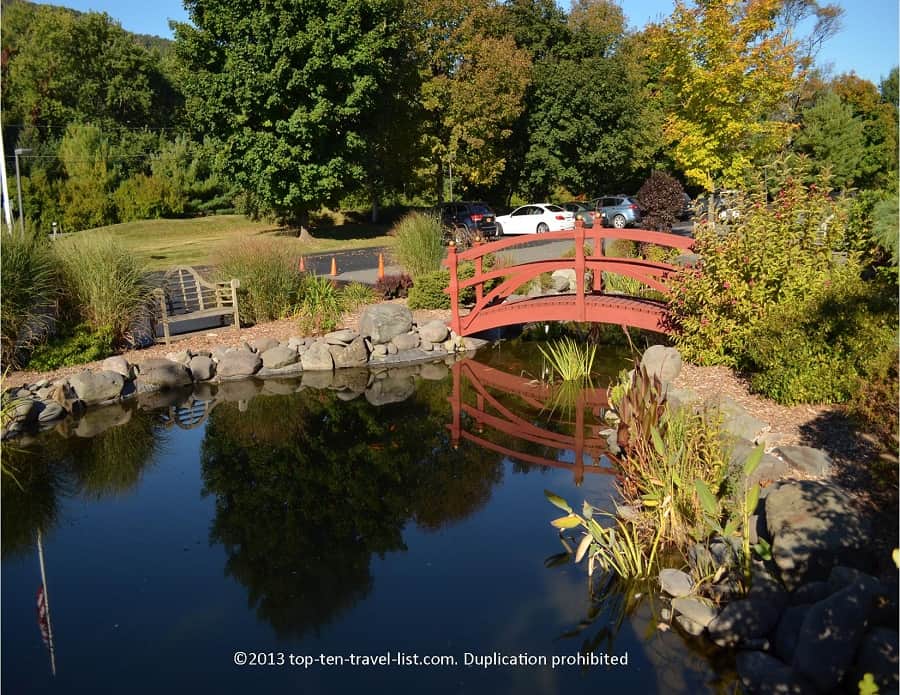 Koi pond at the Emerson resort