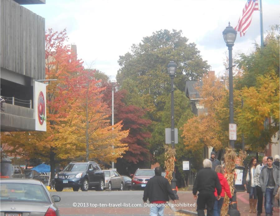 Fall color in Salem
